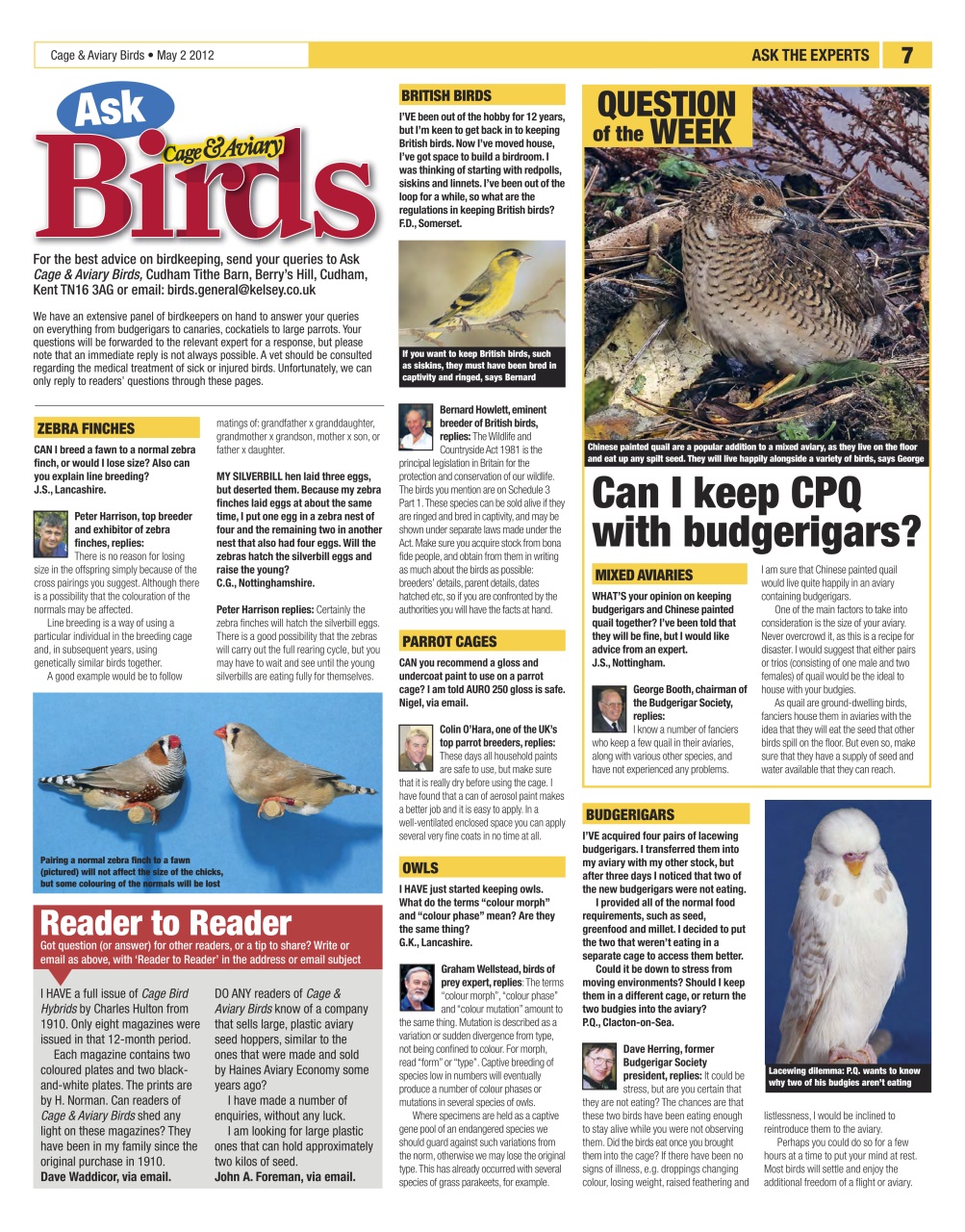 Cage & Aviary Birds Preview Pages