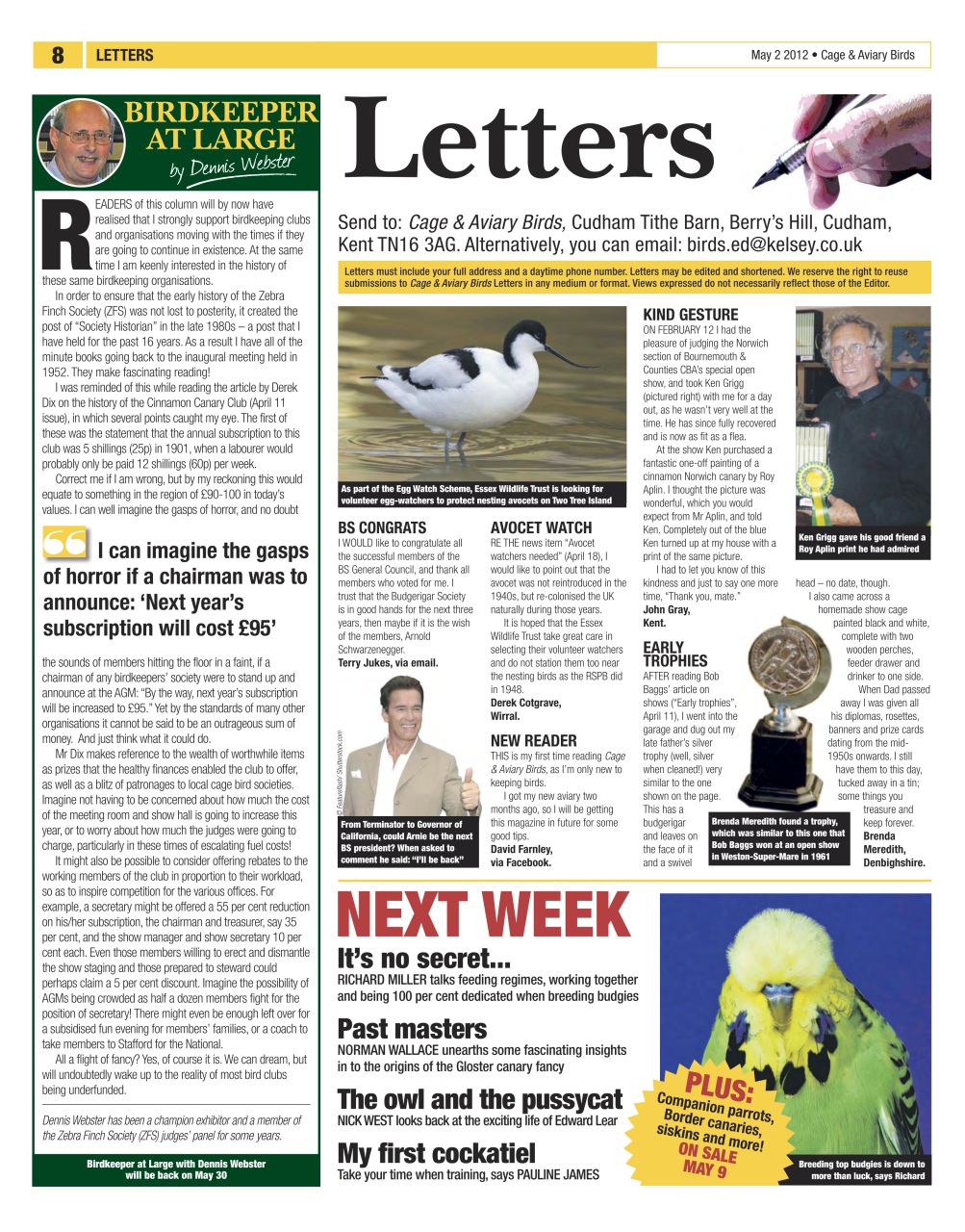Cage & Aviary Birds Preview Pages