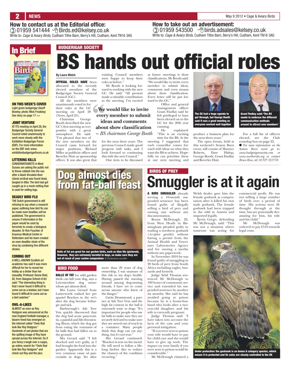 Cage & Aviary Birds Preview Pages