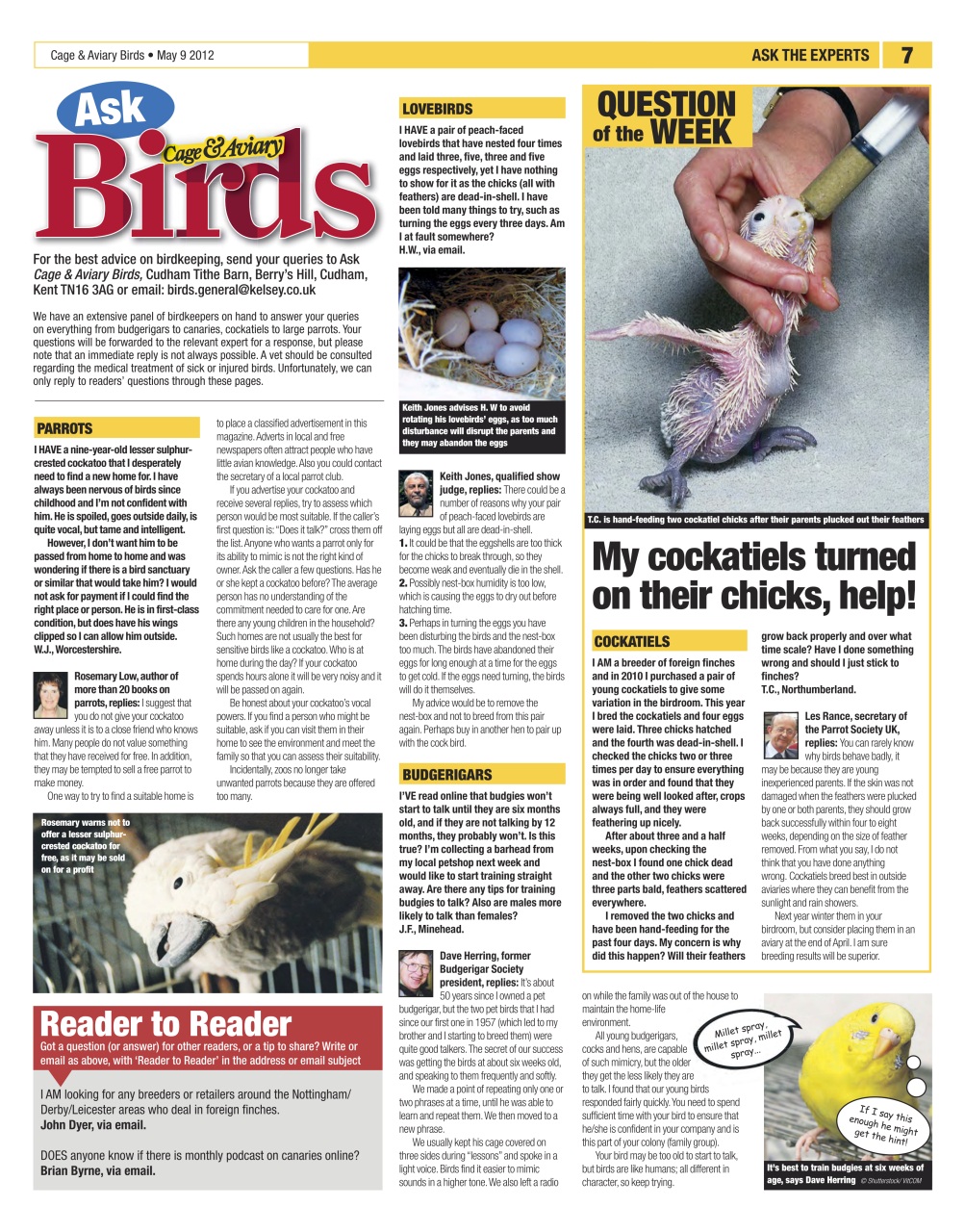 Cage & Aviary Birds Preview Pages