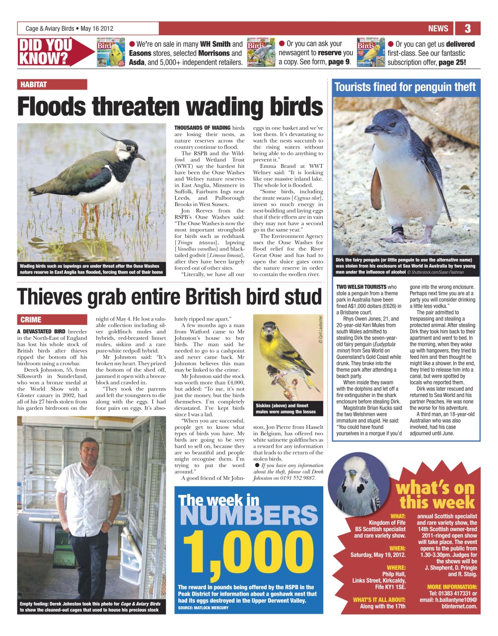 Cage & Aviary Birds Preview Pages