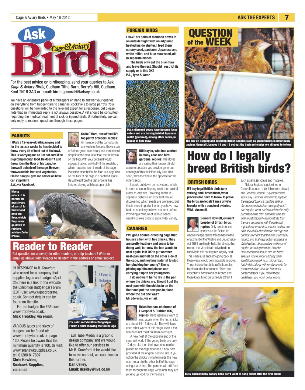 Cage & Aviary Birds Preview Pages