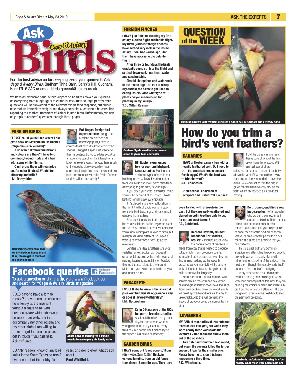 Cage & Aviary Birds Preview Pages