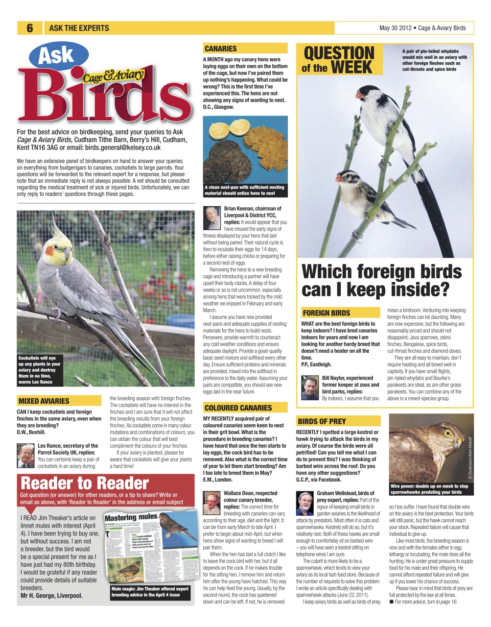 Cage & Aviary Birds Preview Pages