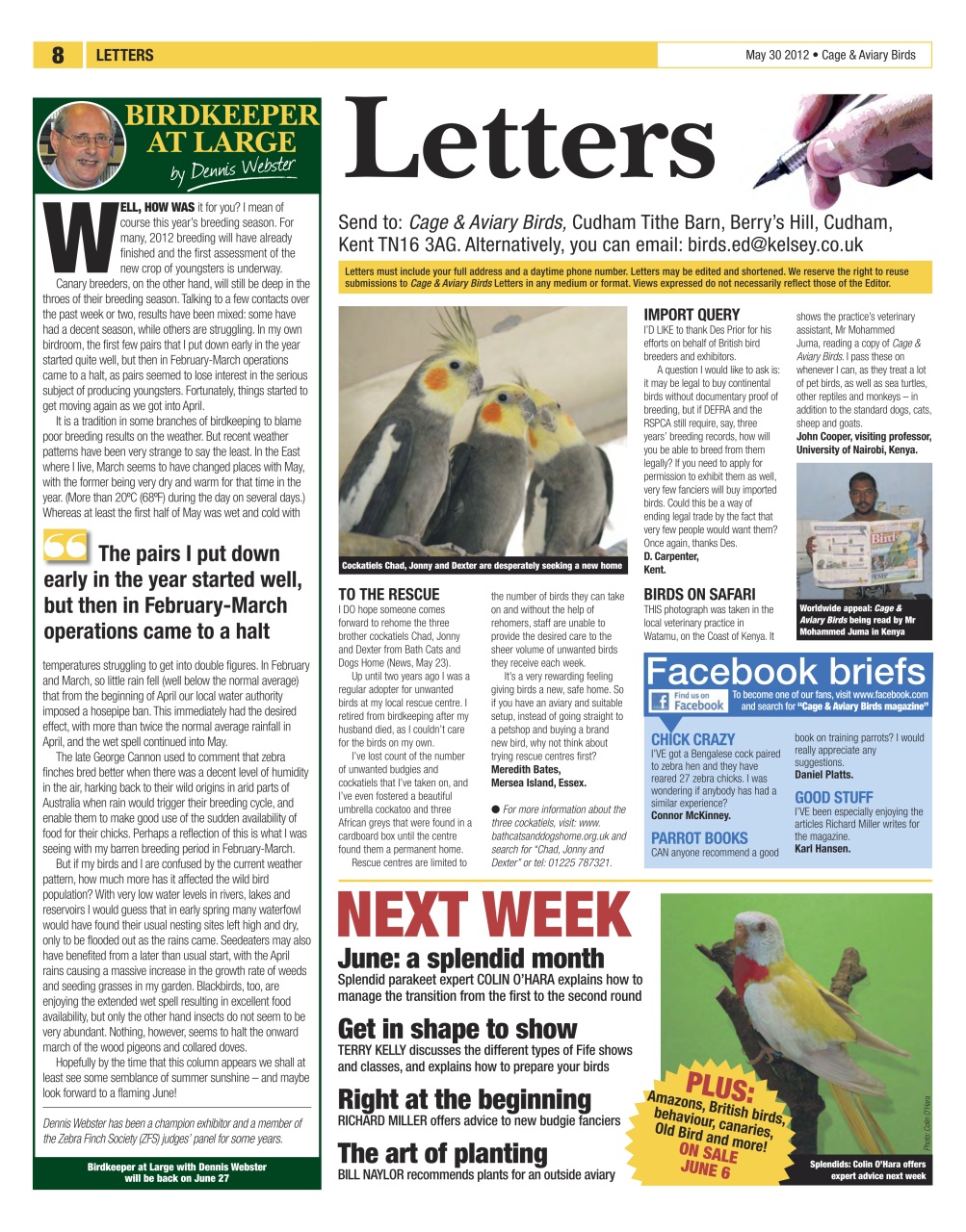 Cage & Aviary Birds Preview Pages