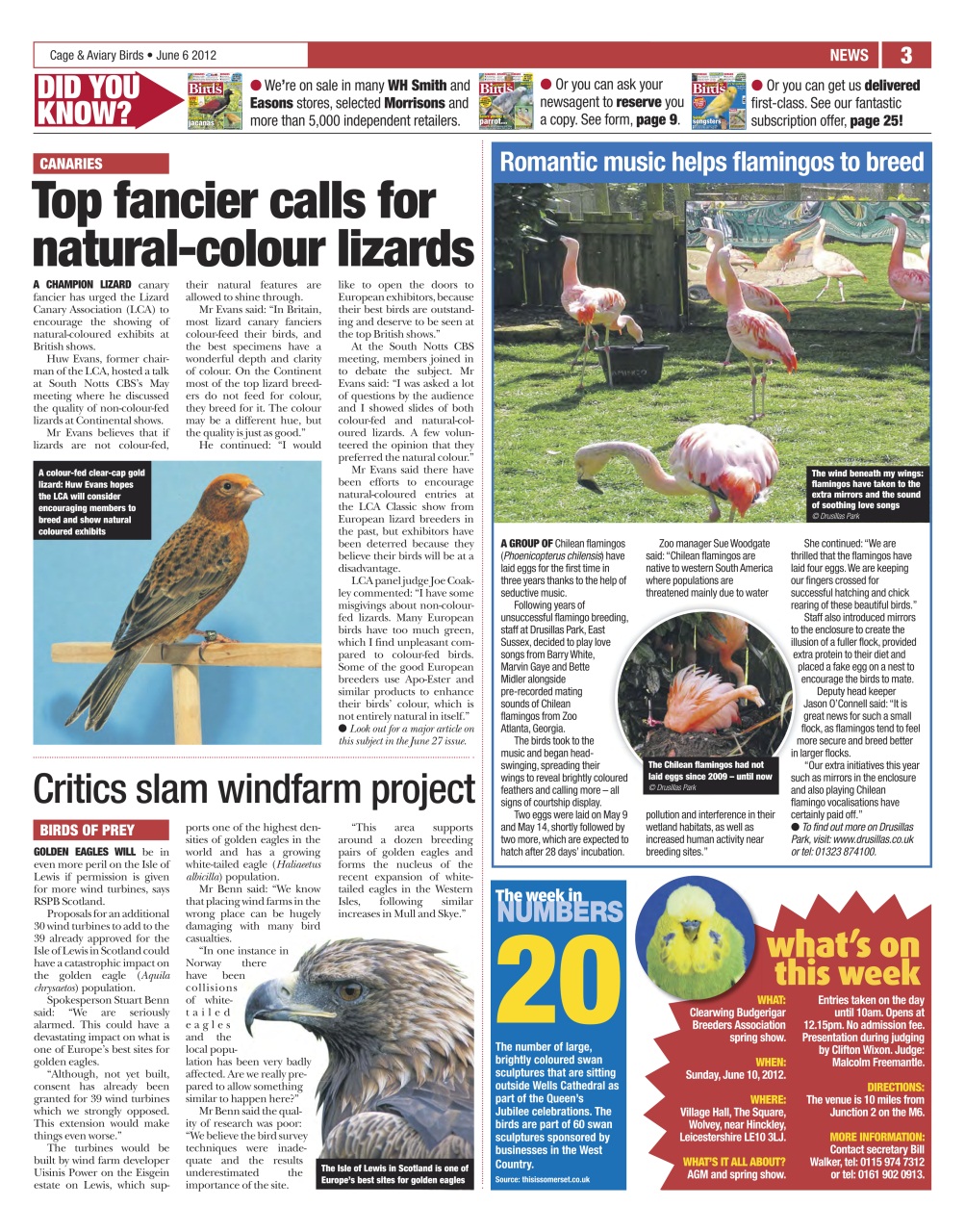 Cage & Aviary Birds Preview Pages