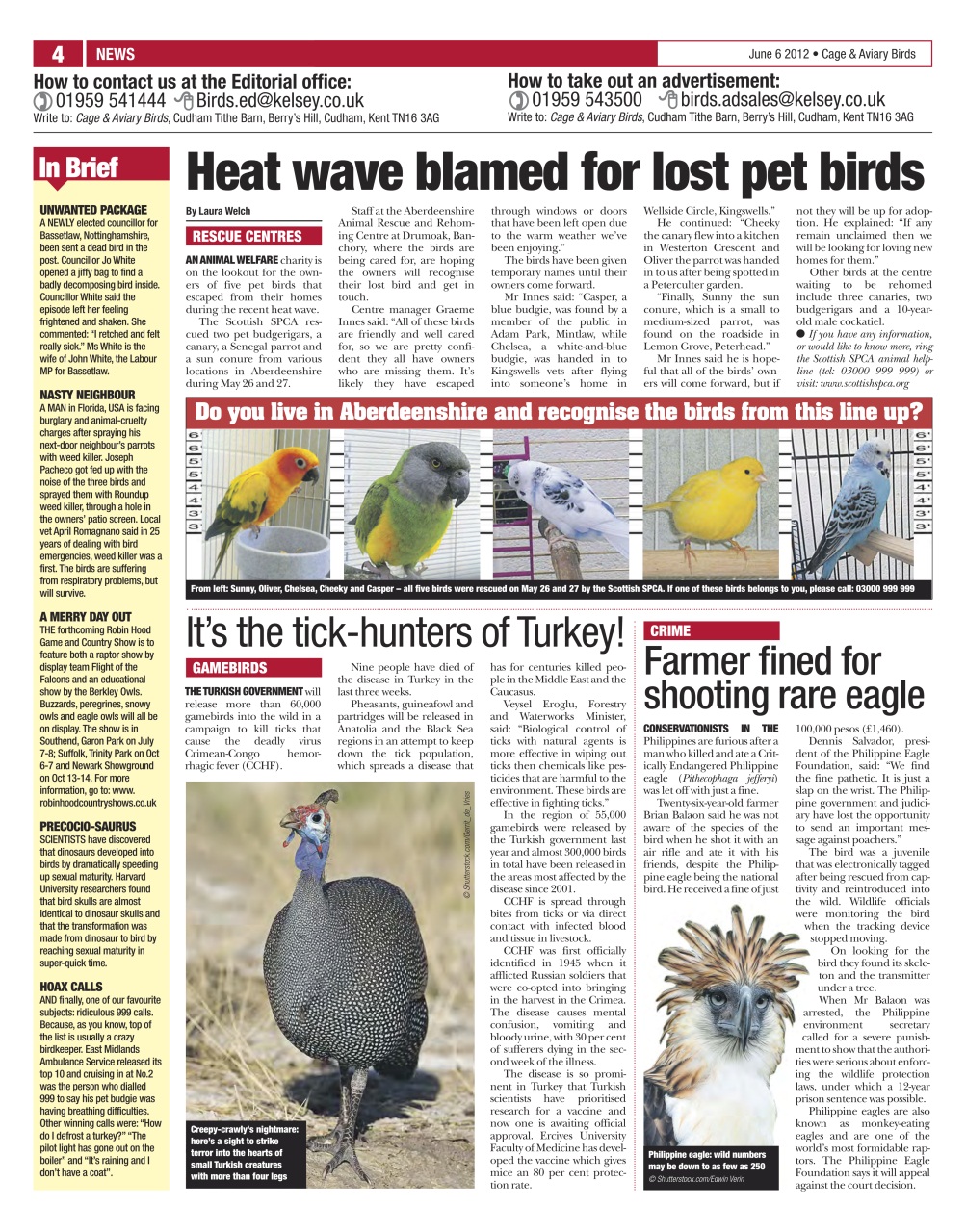 Cage & Aviary Birds Preview Pages