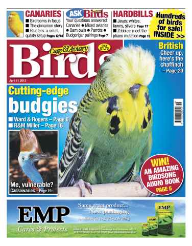 Cage & Aviary Birds issue Cage and Aviary April 11 2012