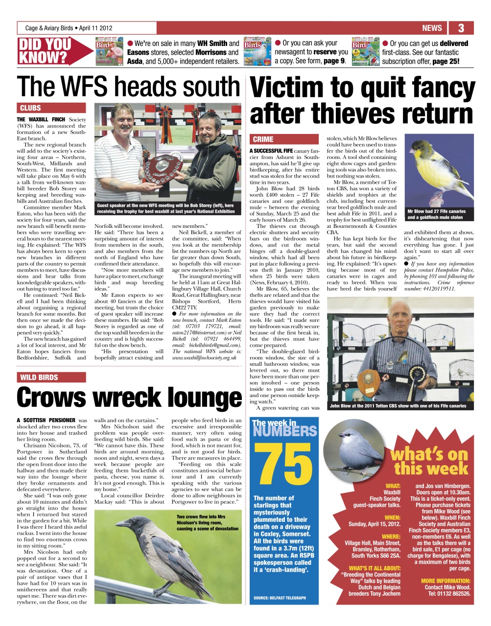 Cage & Aviary Birds Preview Pages