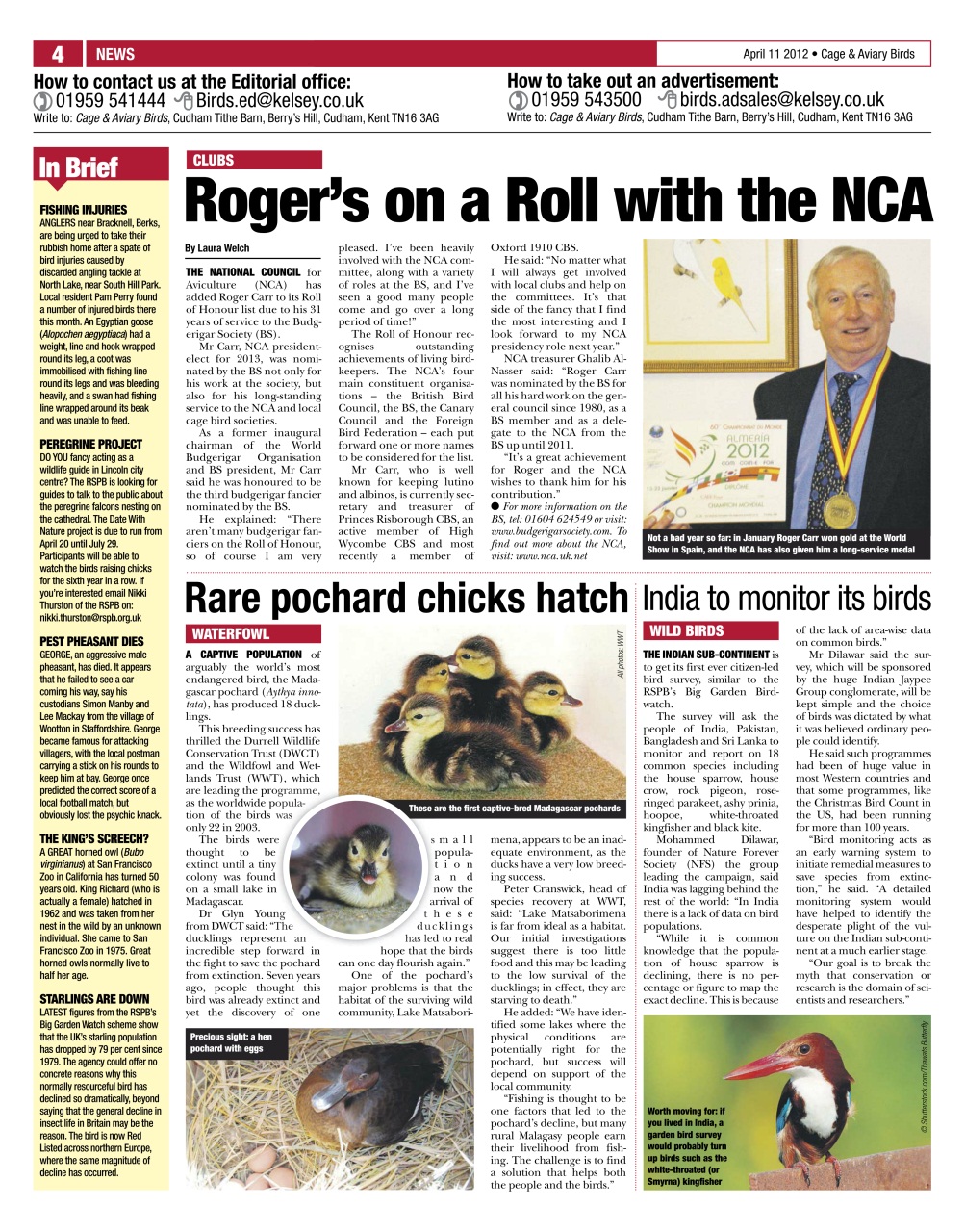 Cage & Aviary Birds Preview Pages