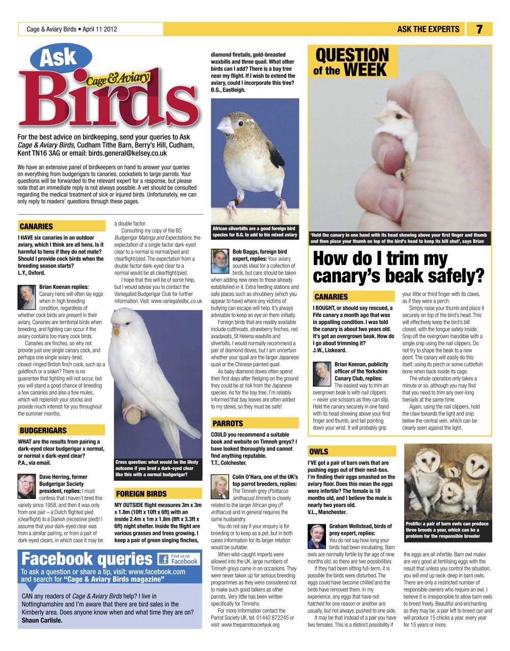 Cage & Aviary Birds Preview Pages