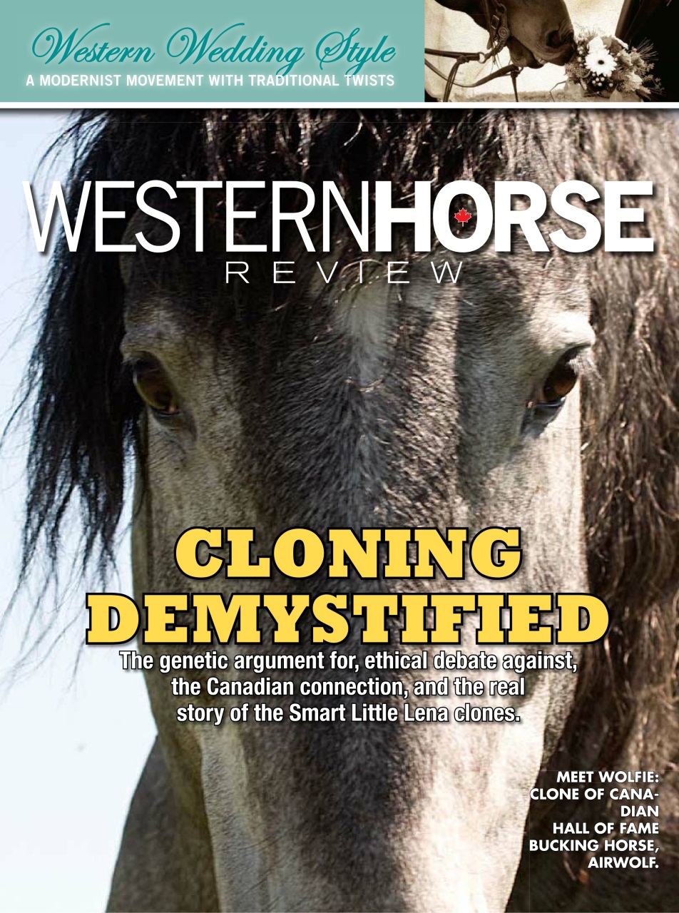 Western Horse Review Preview Pages