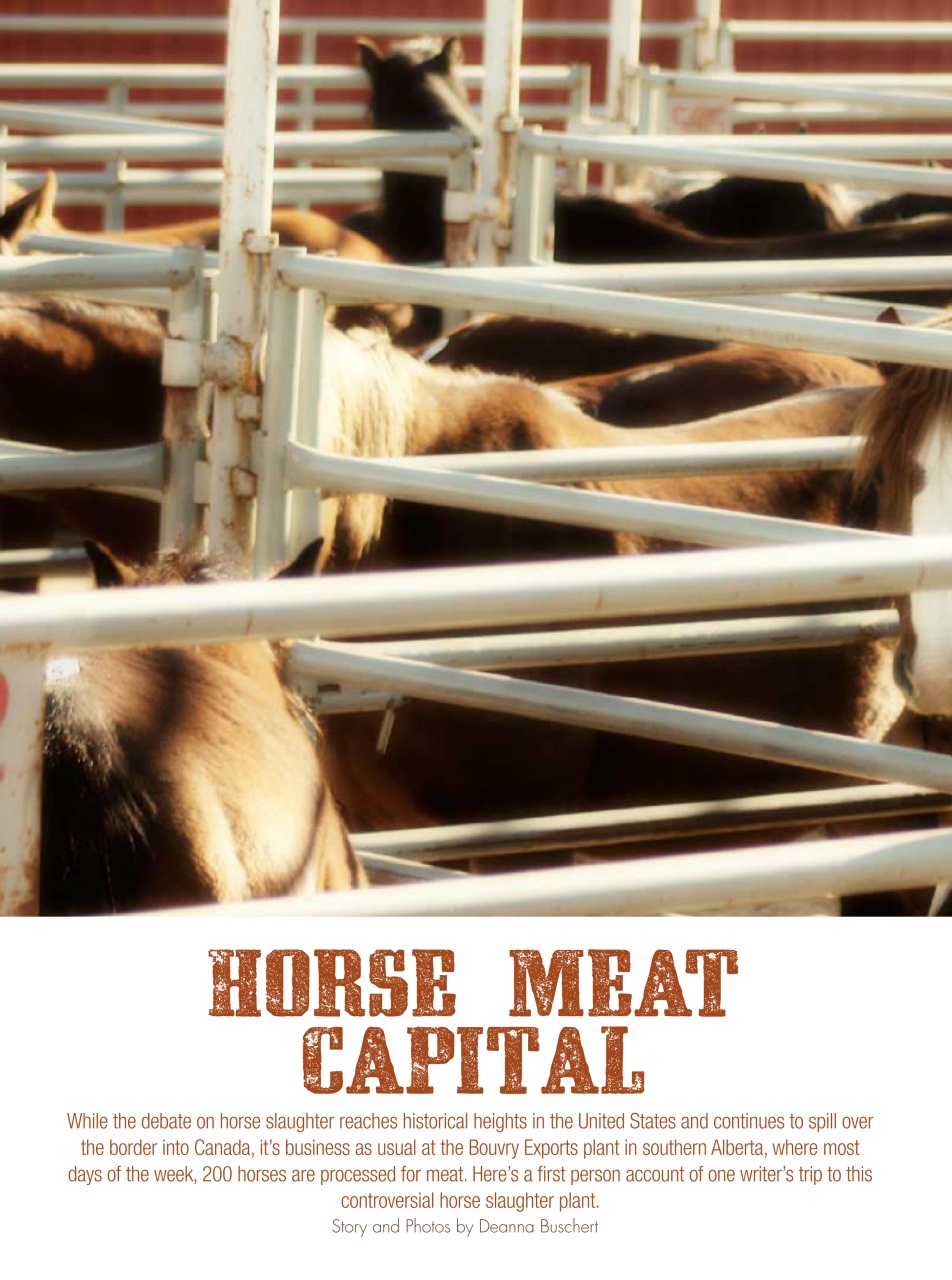 Western Horse Review Preview Pages