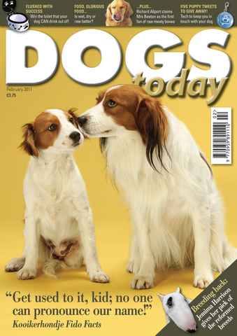 Dogs Today Magazine issue February 2011