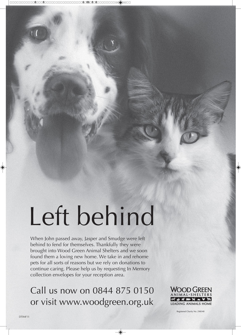 Dogs Today Magazine Preview Pages