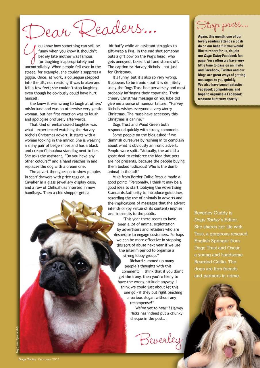 Dogs Today Magazine Preview Pages