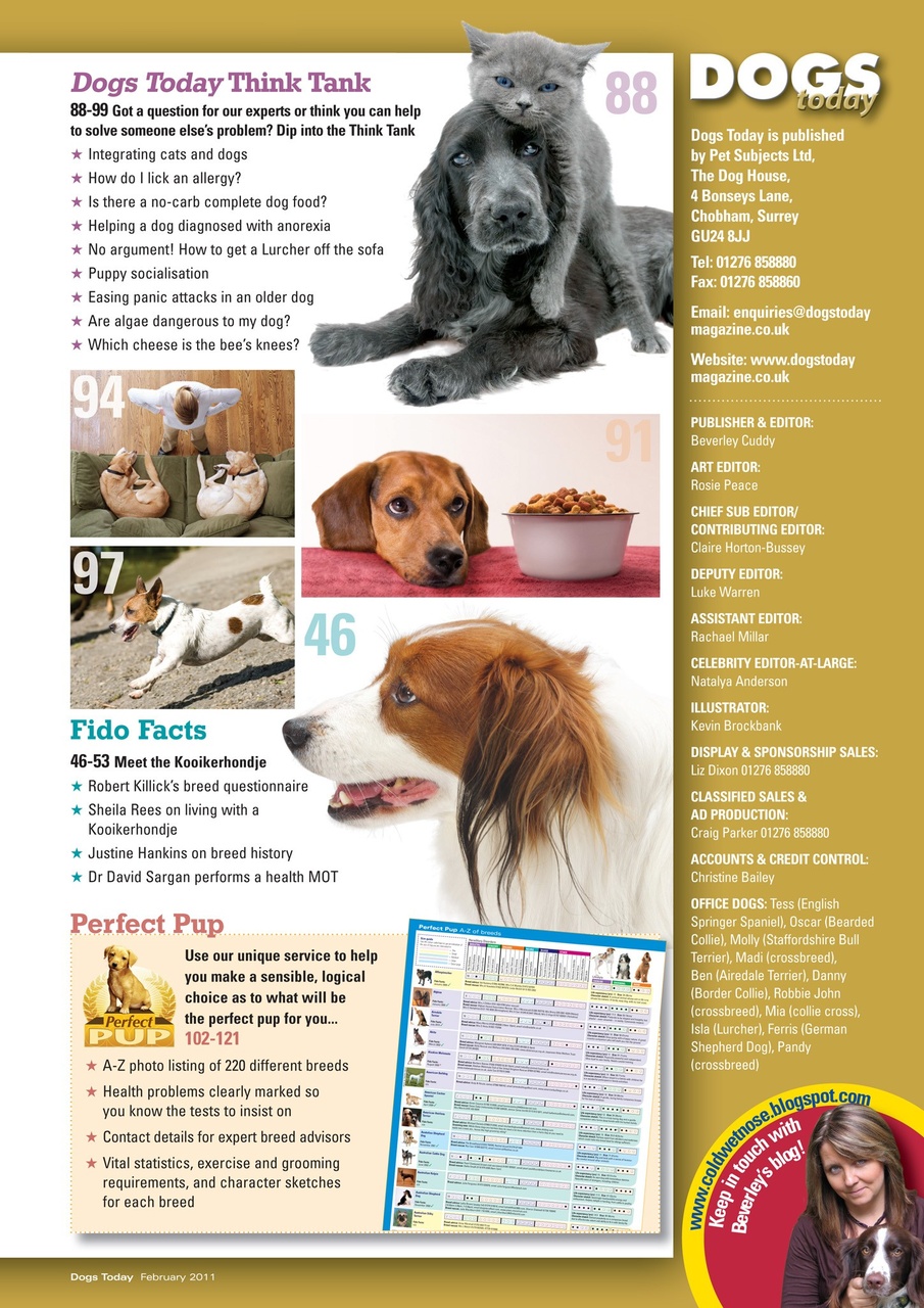 Dogs Today Magazine Preview Pages