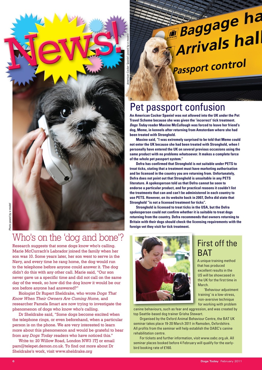 Dogs Today Magazine Preview Pages