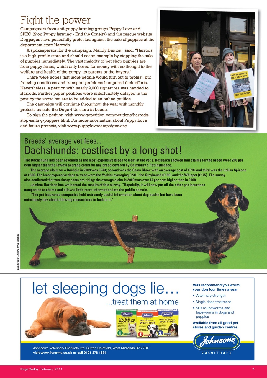Dogs Today Magazine Preview Pages
