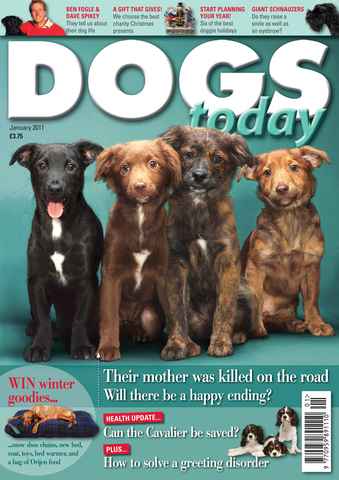 Dogs Today Magazine issue January 2011