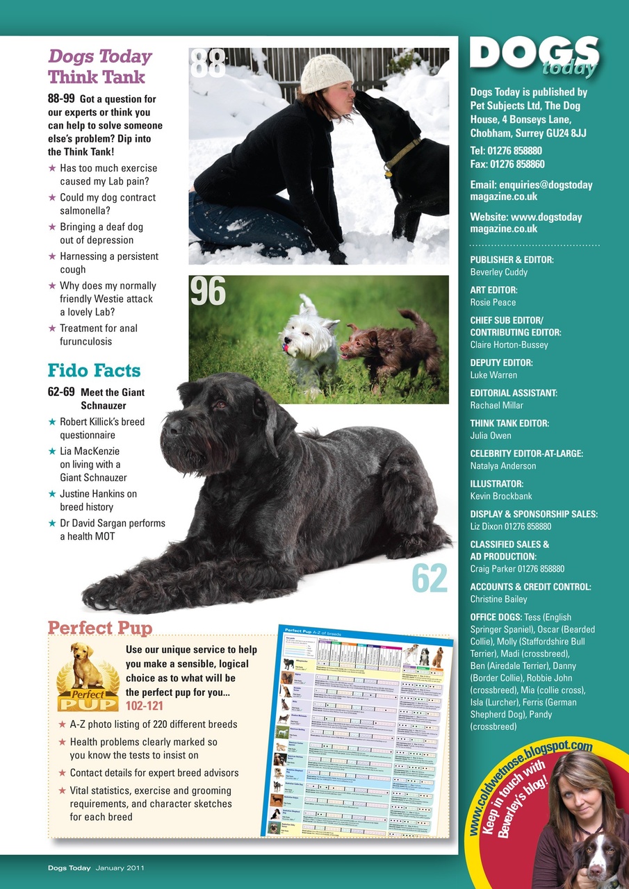 Dogs Today Magazine Preview Pages