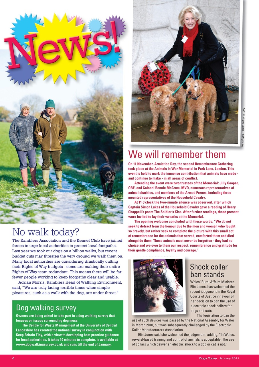 Dogs Today Magazine Preview Pages