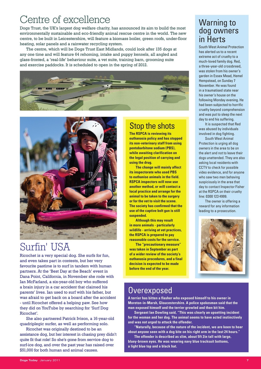 Dogs Today Magazine Preview Pages