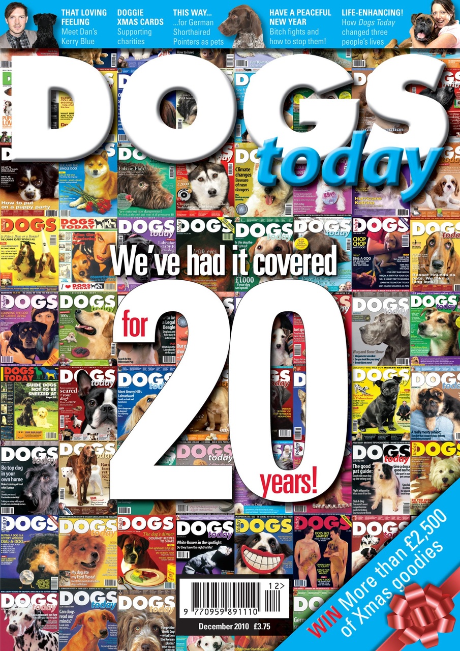 Dogs Today Magazine Preview Pages