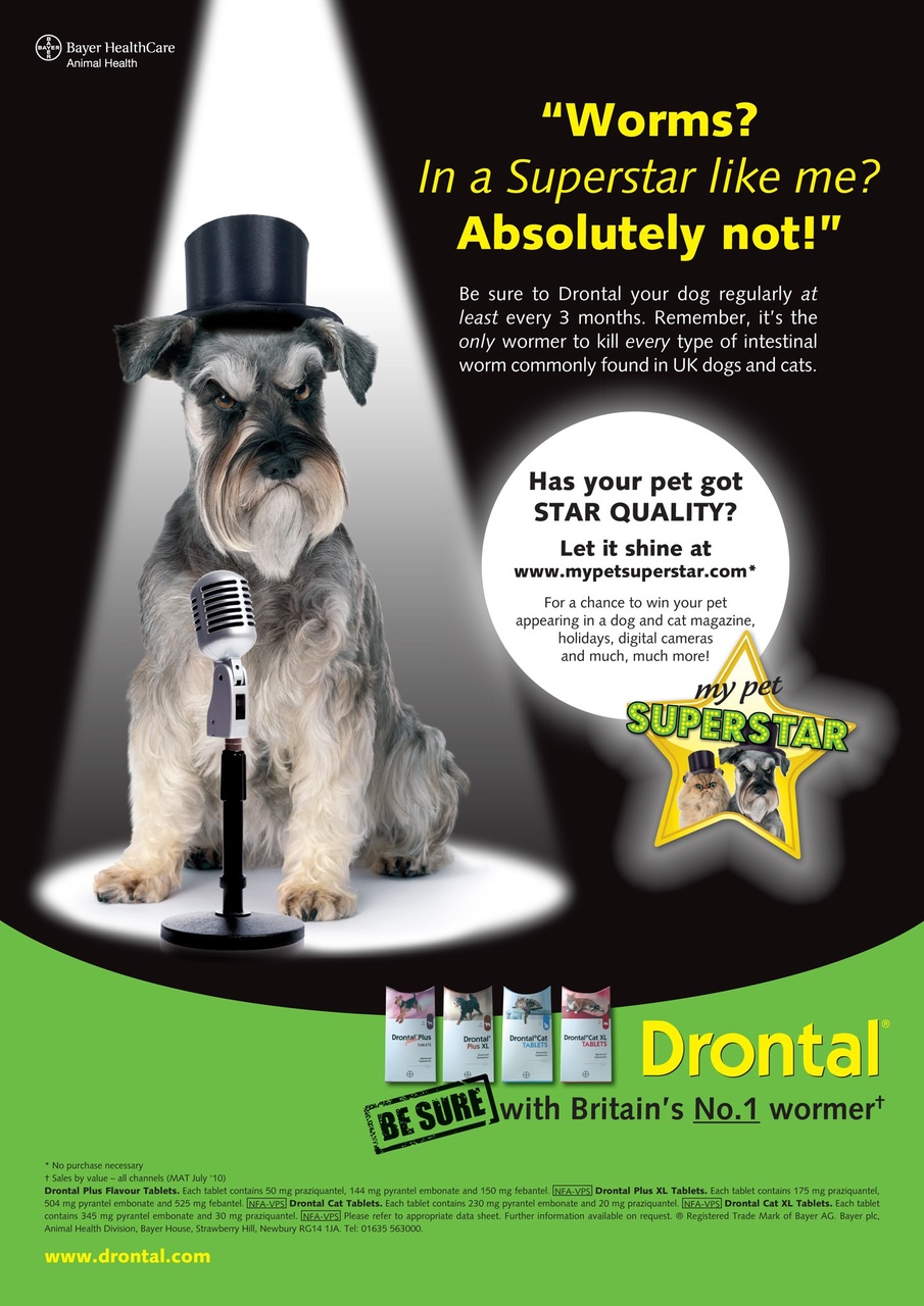 Dogs Today Magazine Preview Pages