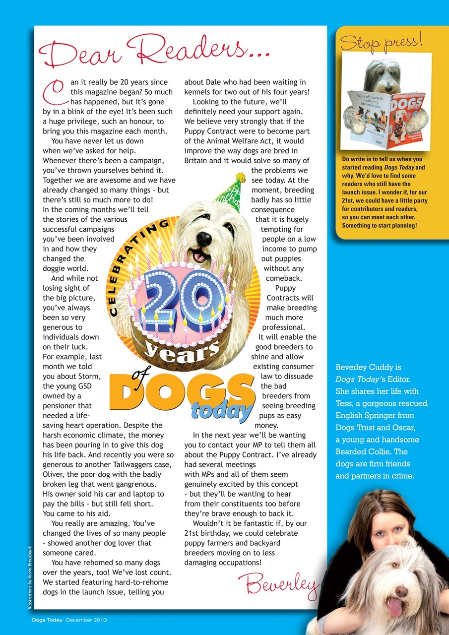 Dogs Today Magazine Preview Pages