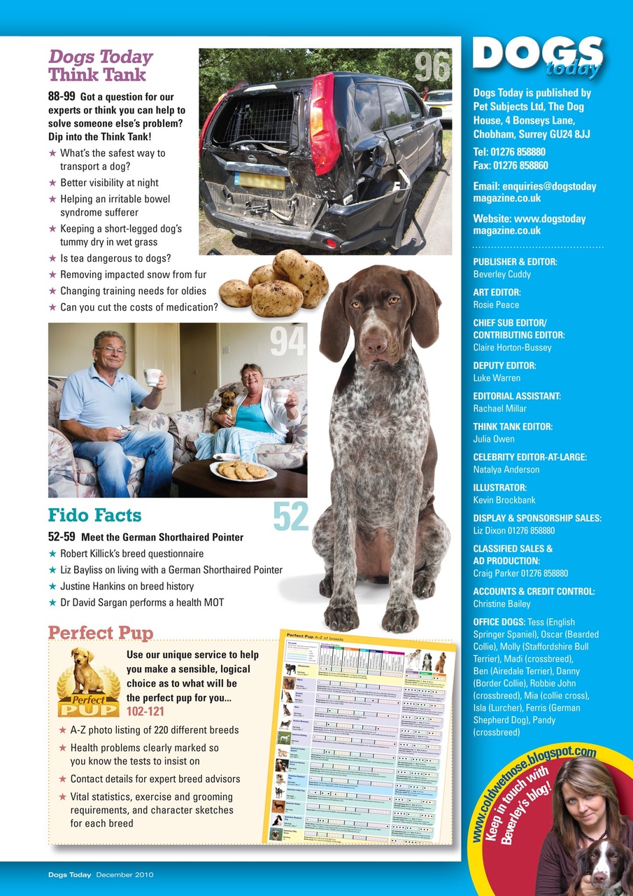 Dogs Today Magazine Preview Pages