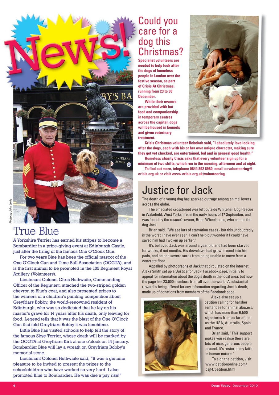 Dogs Today Magazine Preview Pages