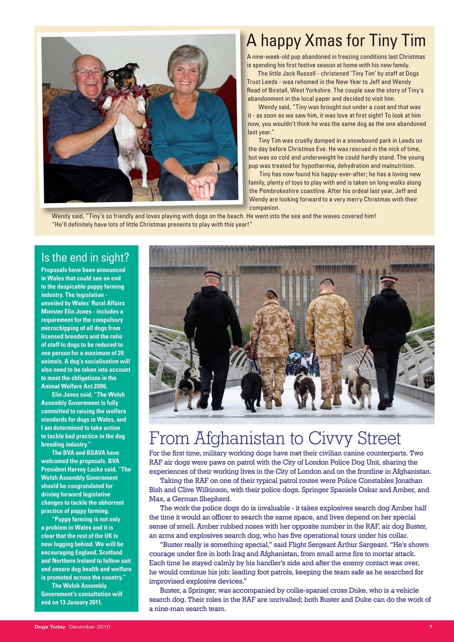 Dogs Today Magazine Preview Pages