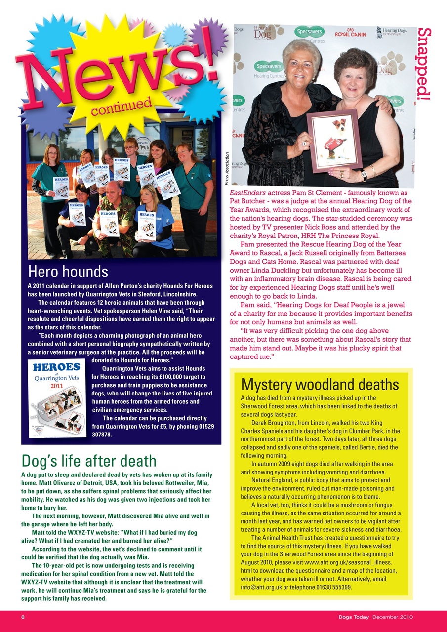 Dogs Today Magazine Preview Pages