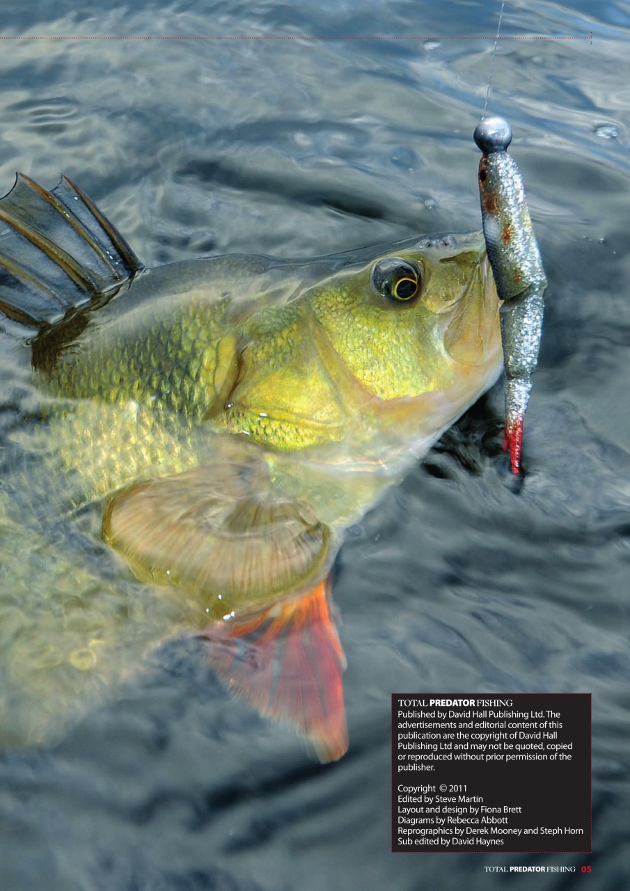 Fishing Reads Preview Pages