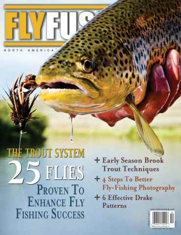 Fly Fusion issue Volume 8 Issue 2