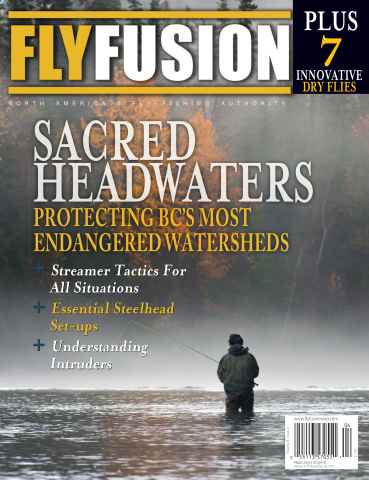 Fly Fusion issue Volume 8 issue 4