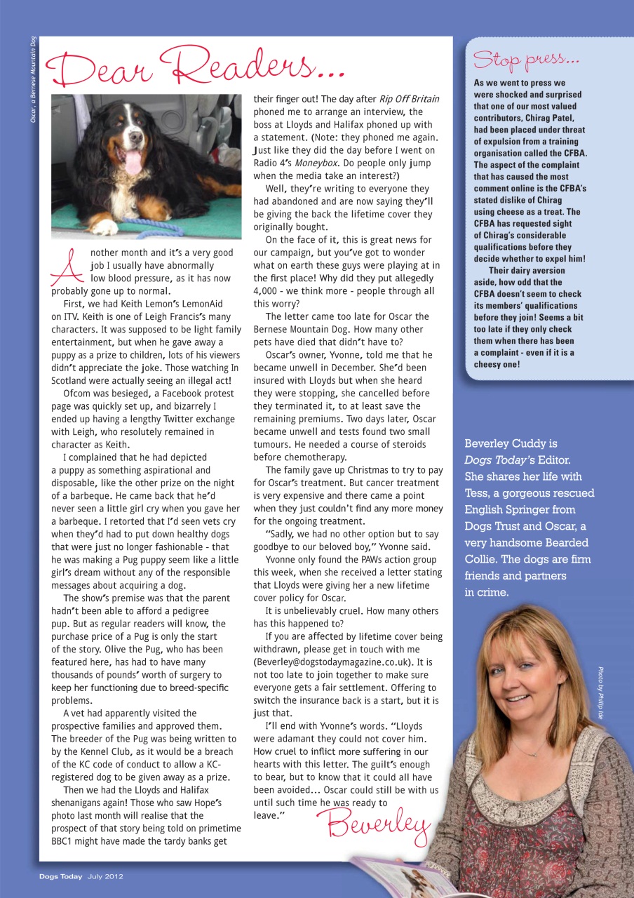 Dogs Today Magazine Preview Pages