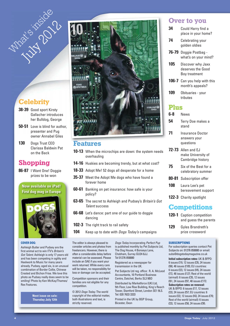 Dogs Today Magazine Preview Pages