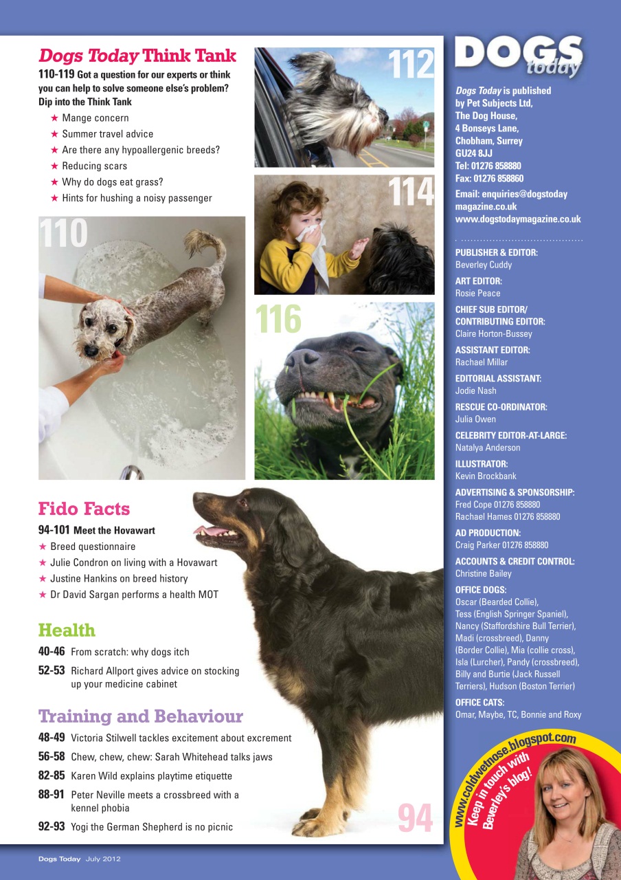 Dogs Today Magazine Preview Pages