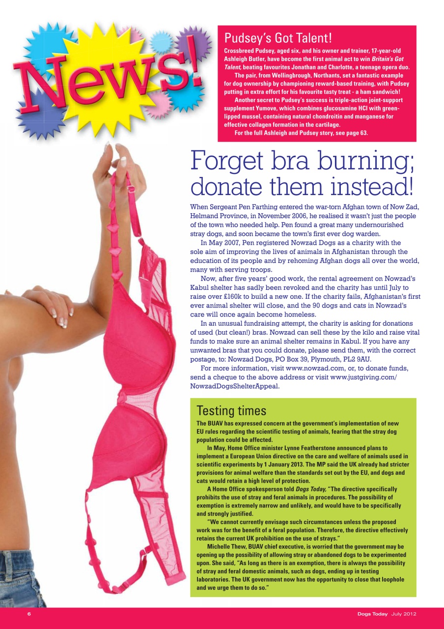 Dogs Today Magazine Preview Pages