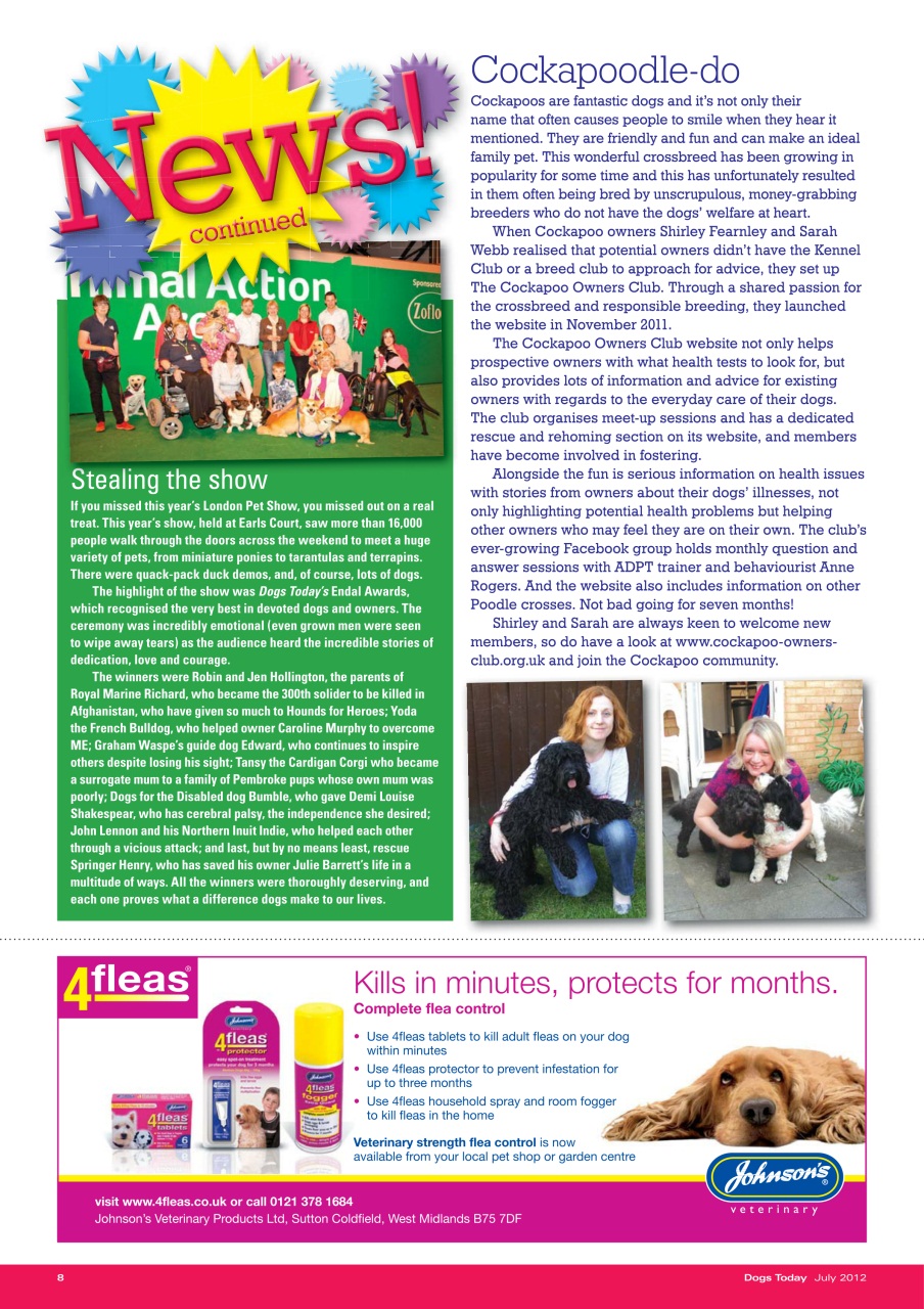 Dogs Today Magazine Preview Pages