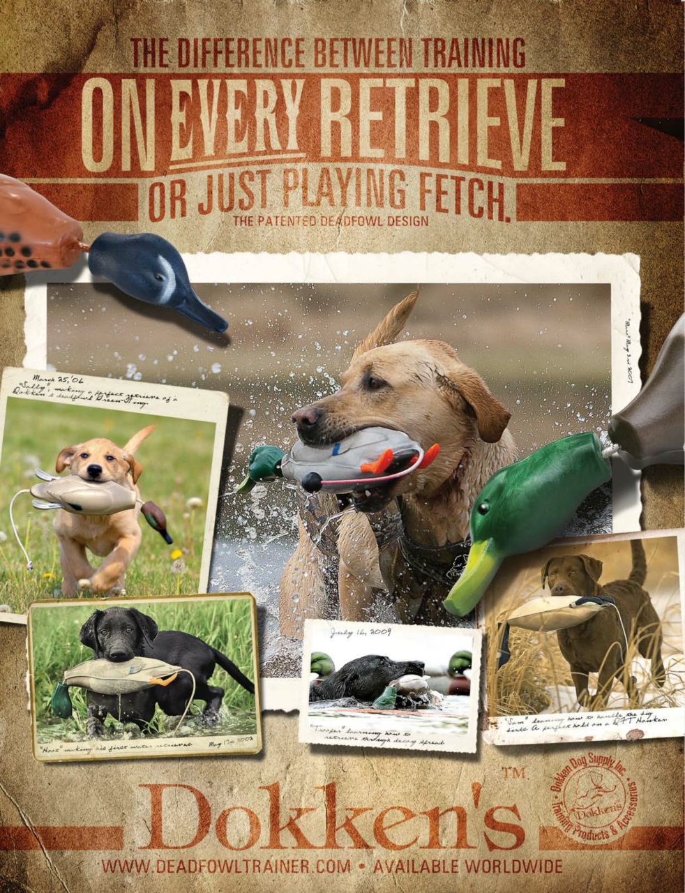 American Waterfowler Preview Pages