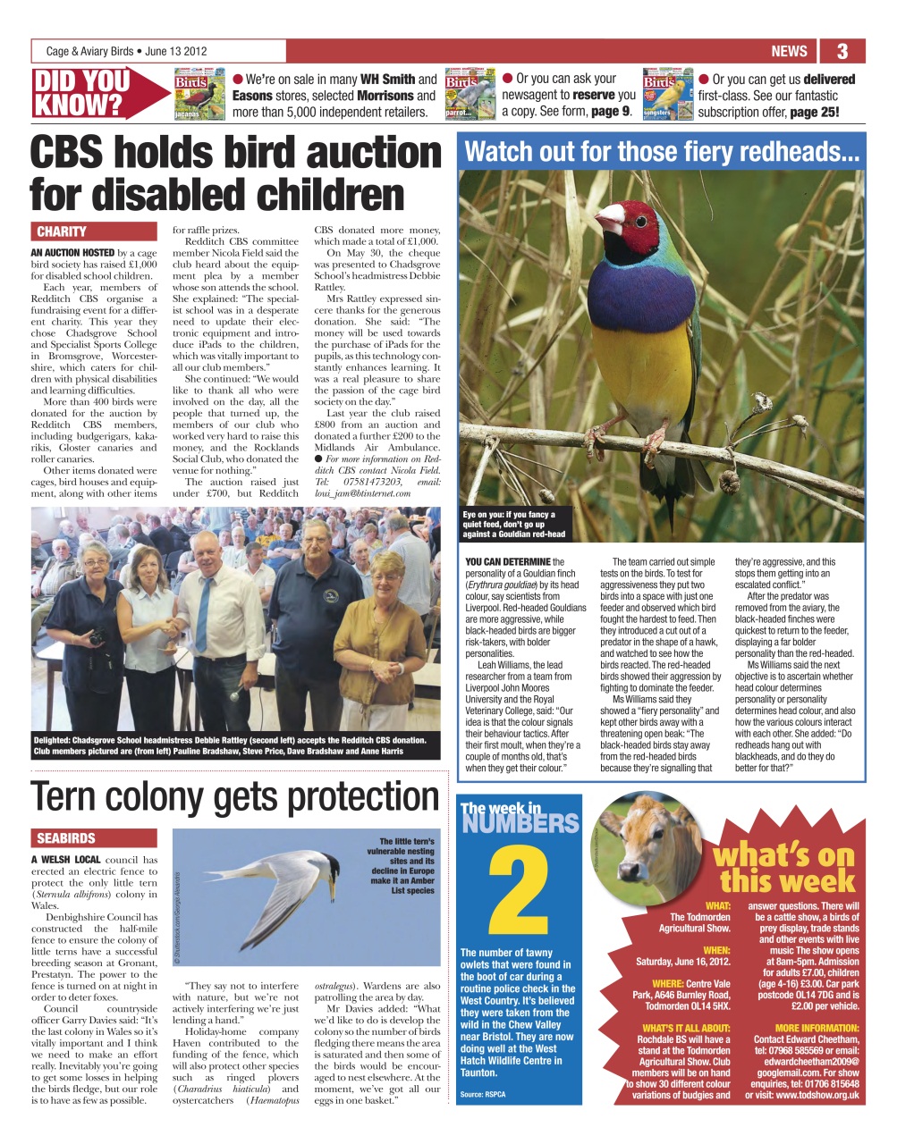 Cage & Aviary Birds Preview Pages