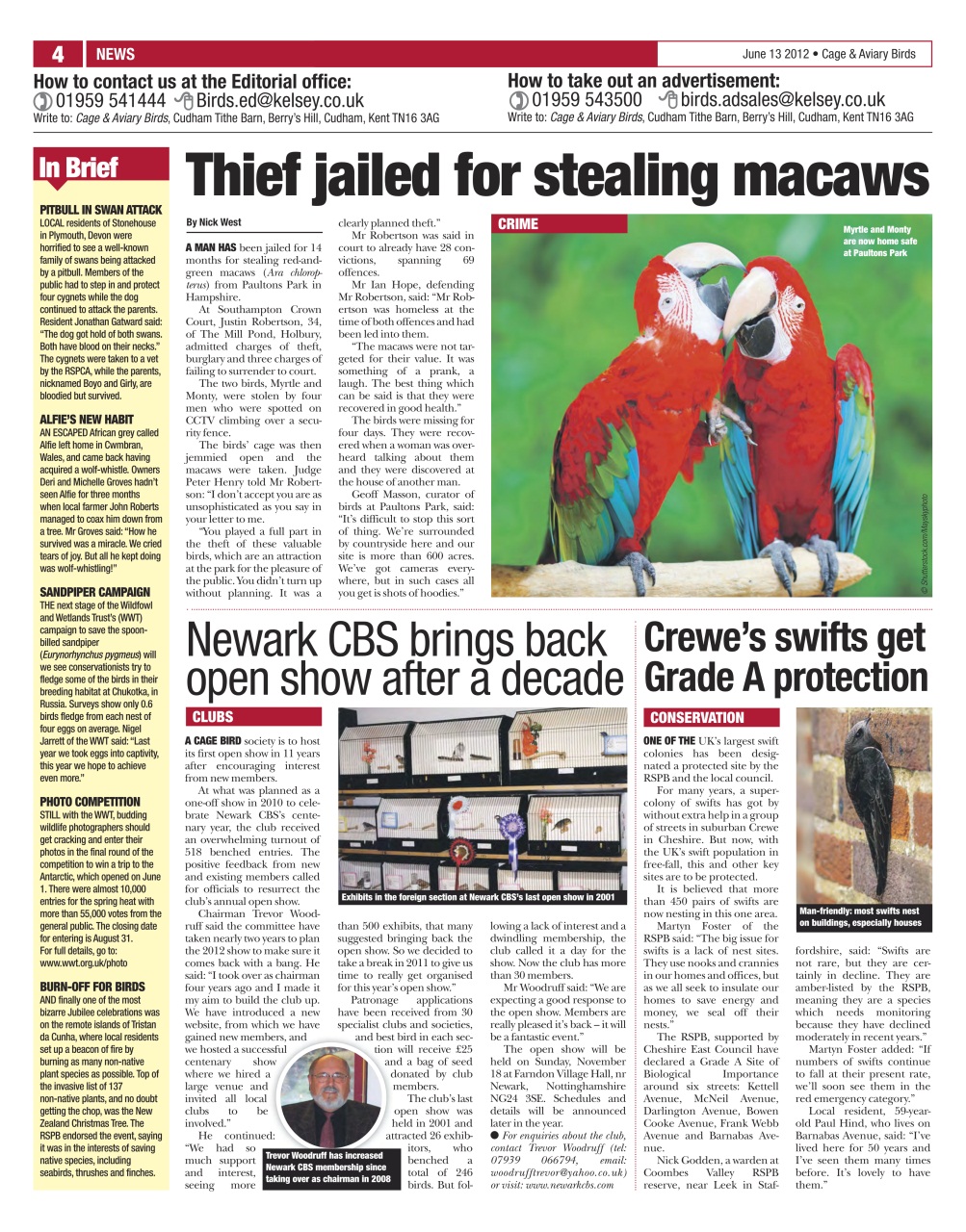 Cage & Aviary Birds Preview Pages