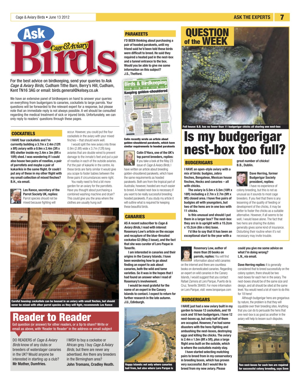 Cage & Aviary Birds Preview Pages