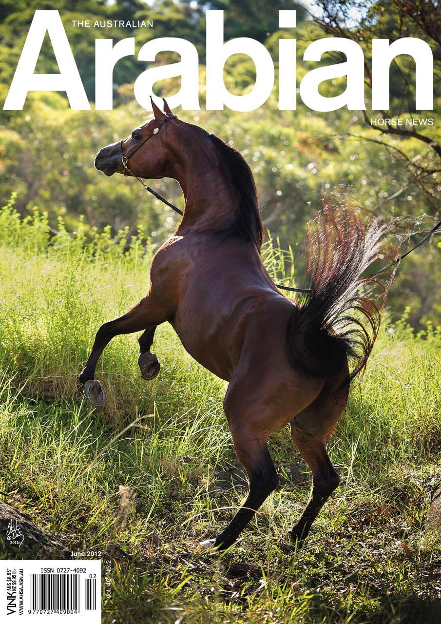 Australian Arabian Horse News Preview Pages