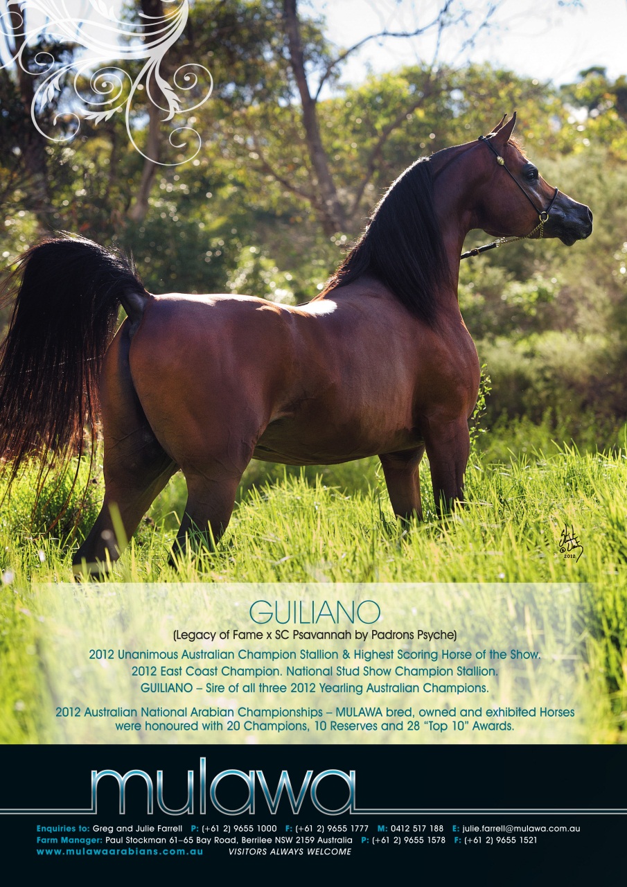Australian Arabian Horse News Preview Pages