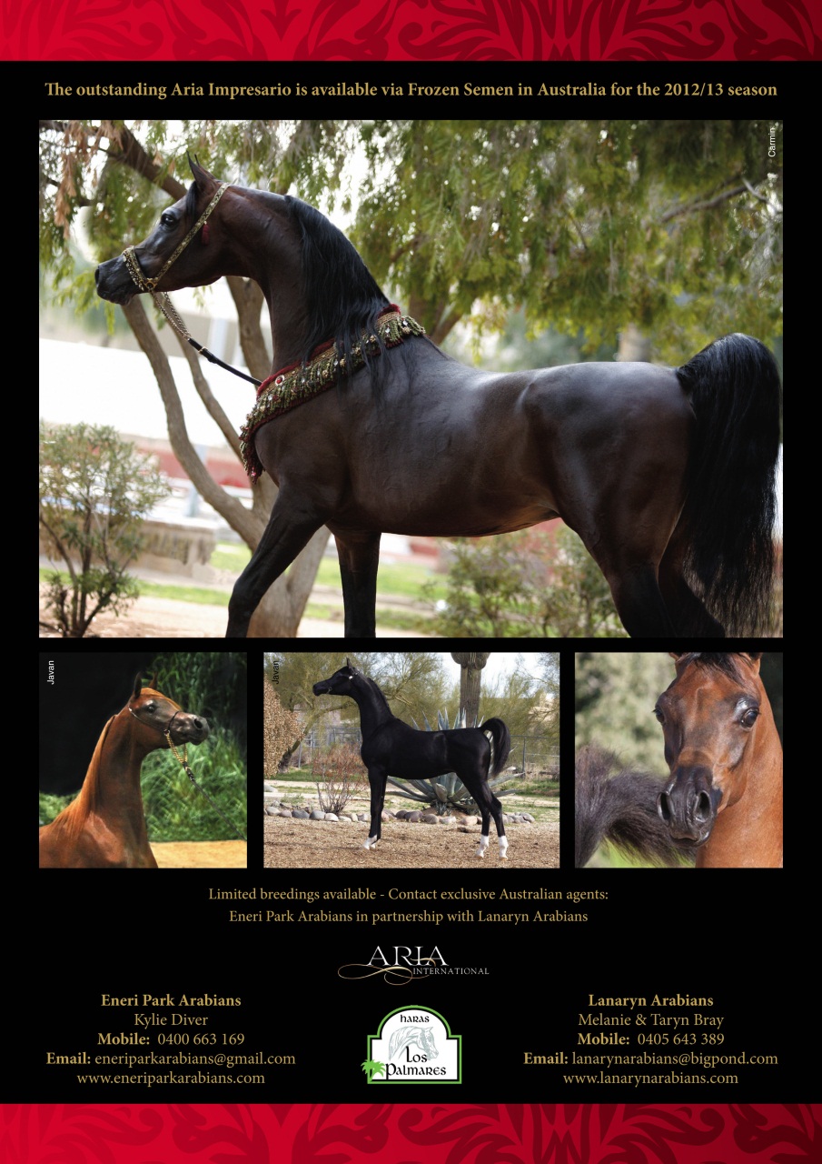Australian Arabian Horse News Preview Pages
