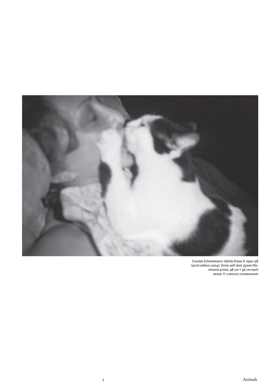 C Magazine Preview Pages